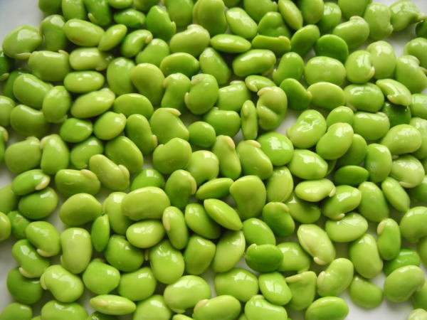 枝豆100ｇあたりの栄養価