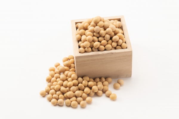 大豆100ｇあたりの栄養価